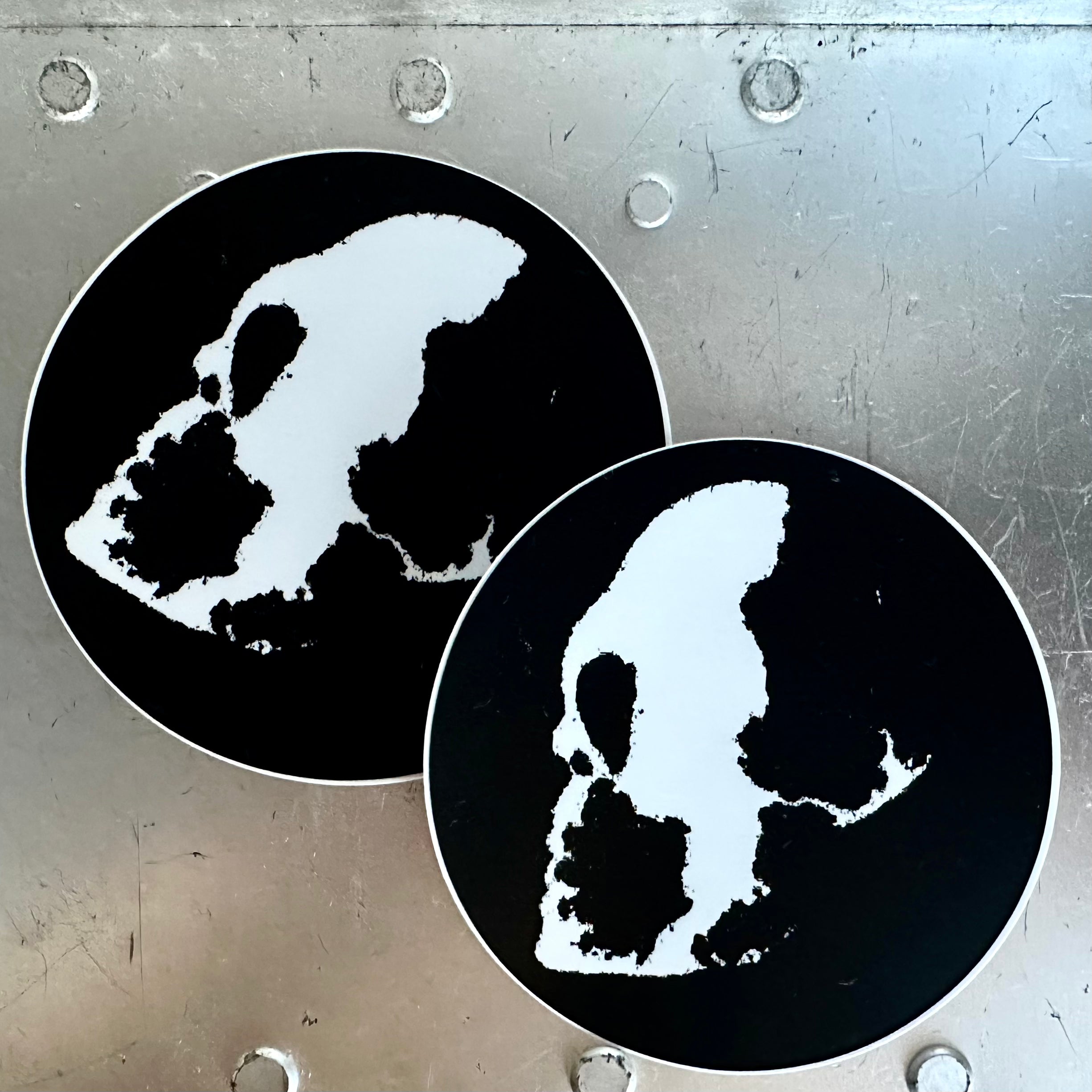 Skull Graphic Sticker  2set