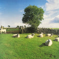 The KLF – Chill Out (USED/VINYL)