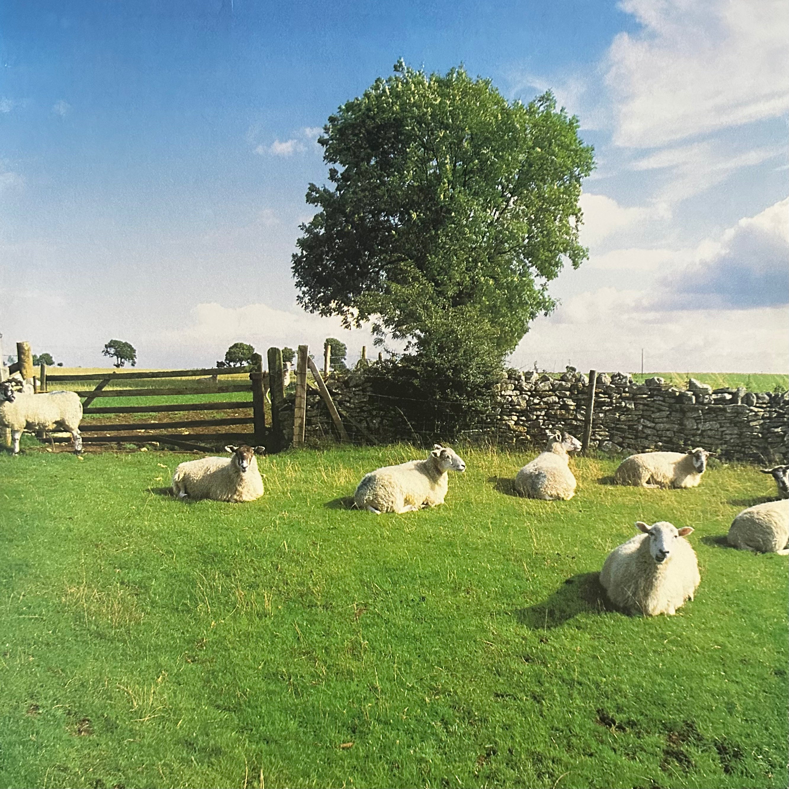 The KLF – Chill Out (USED/VINYL)