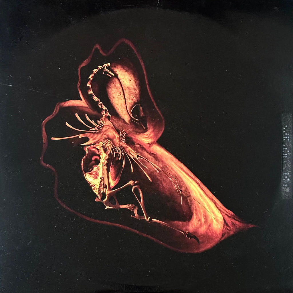 Bola – Gnayse (USED/VINYL)