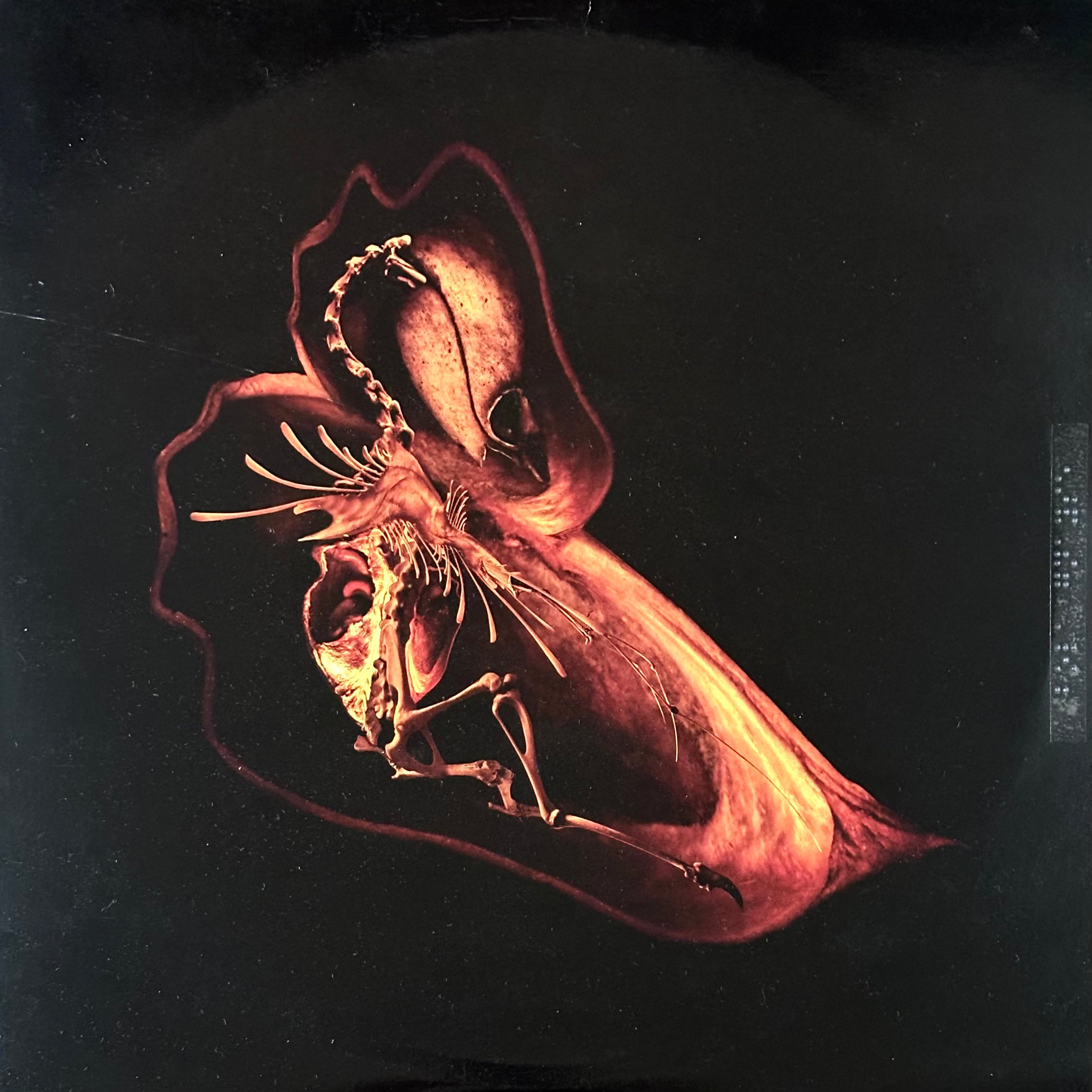 Bola – Gnayse (USED/VINYL)