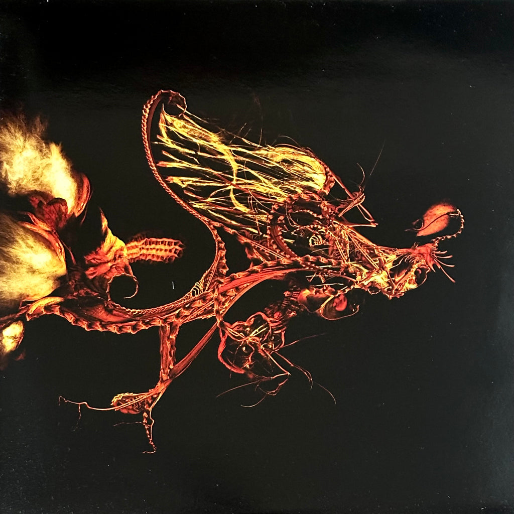 Bola – Gnayse (USED/VINYL)