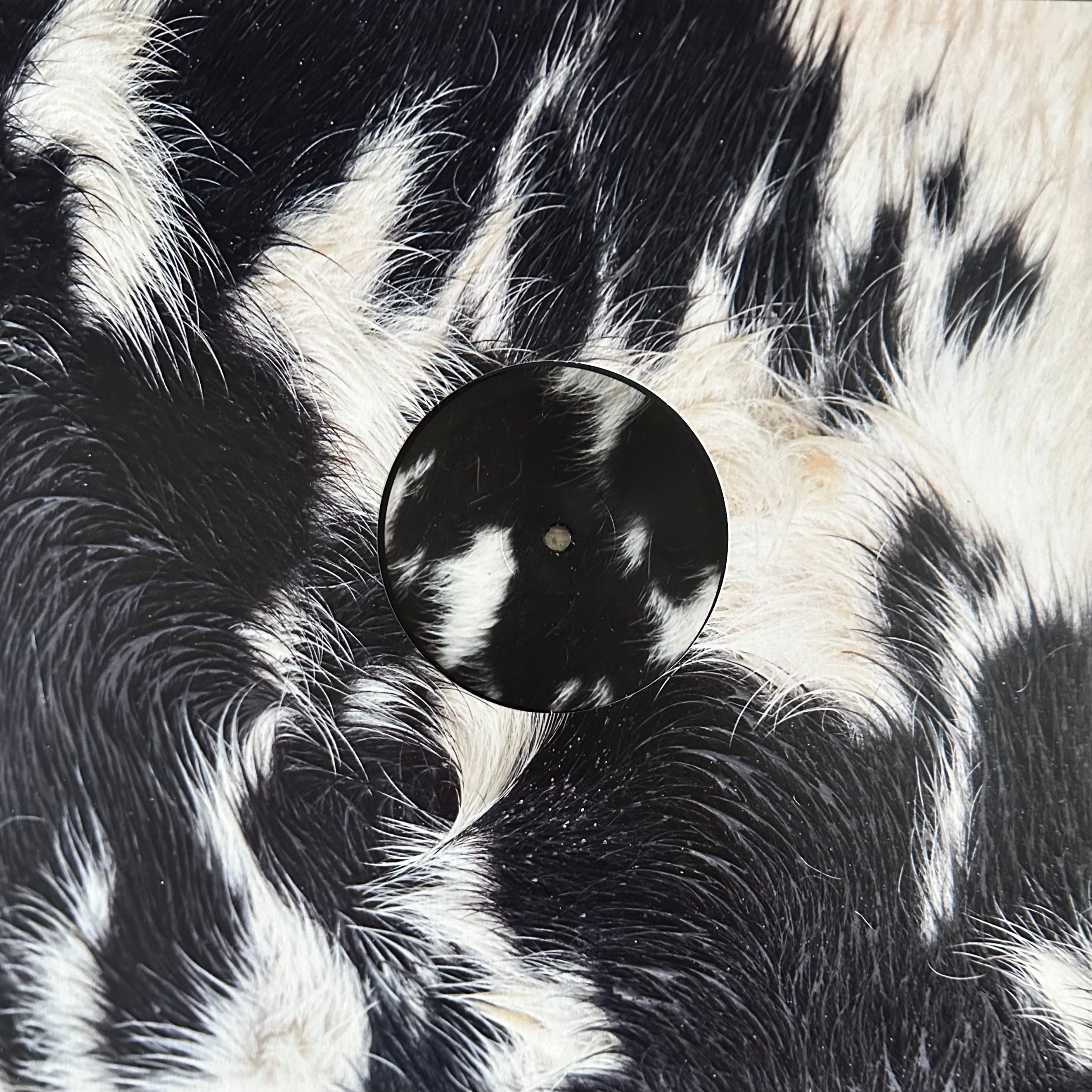 Blawan – Dismantled Into Juice (USED/VINYL)