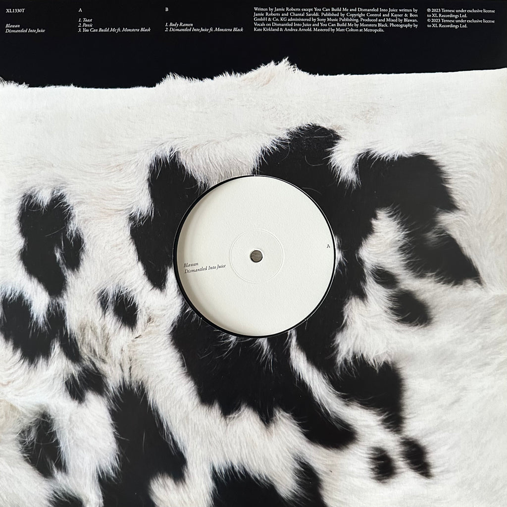 Blawan – Dismantled Into Juice (USED/VINYL)