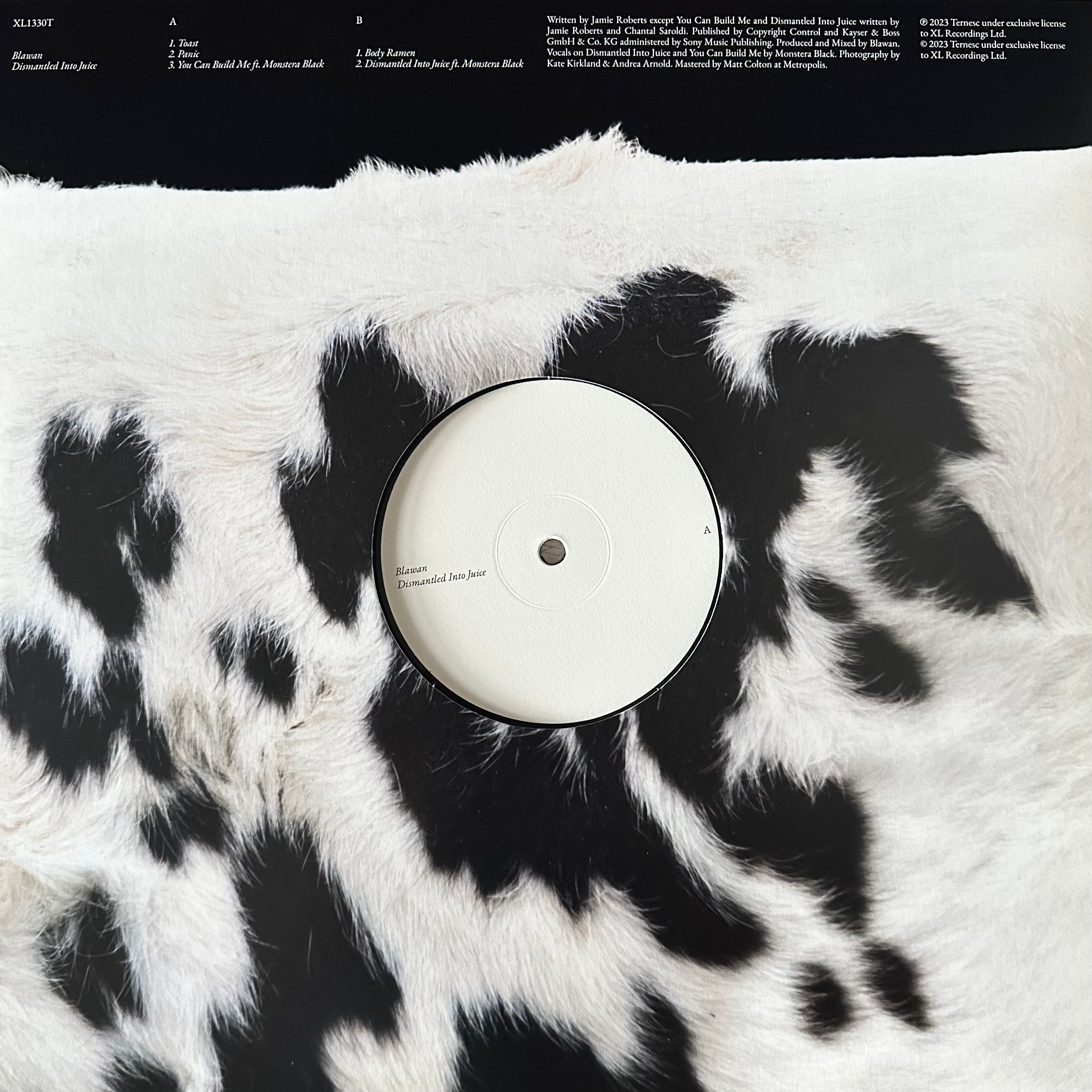 Blawan – Dismantled Into Juice (USED/VINYL)