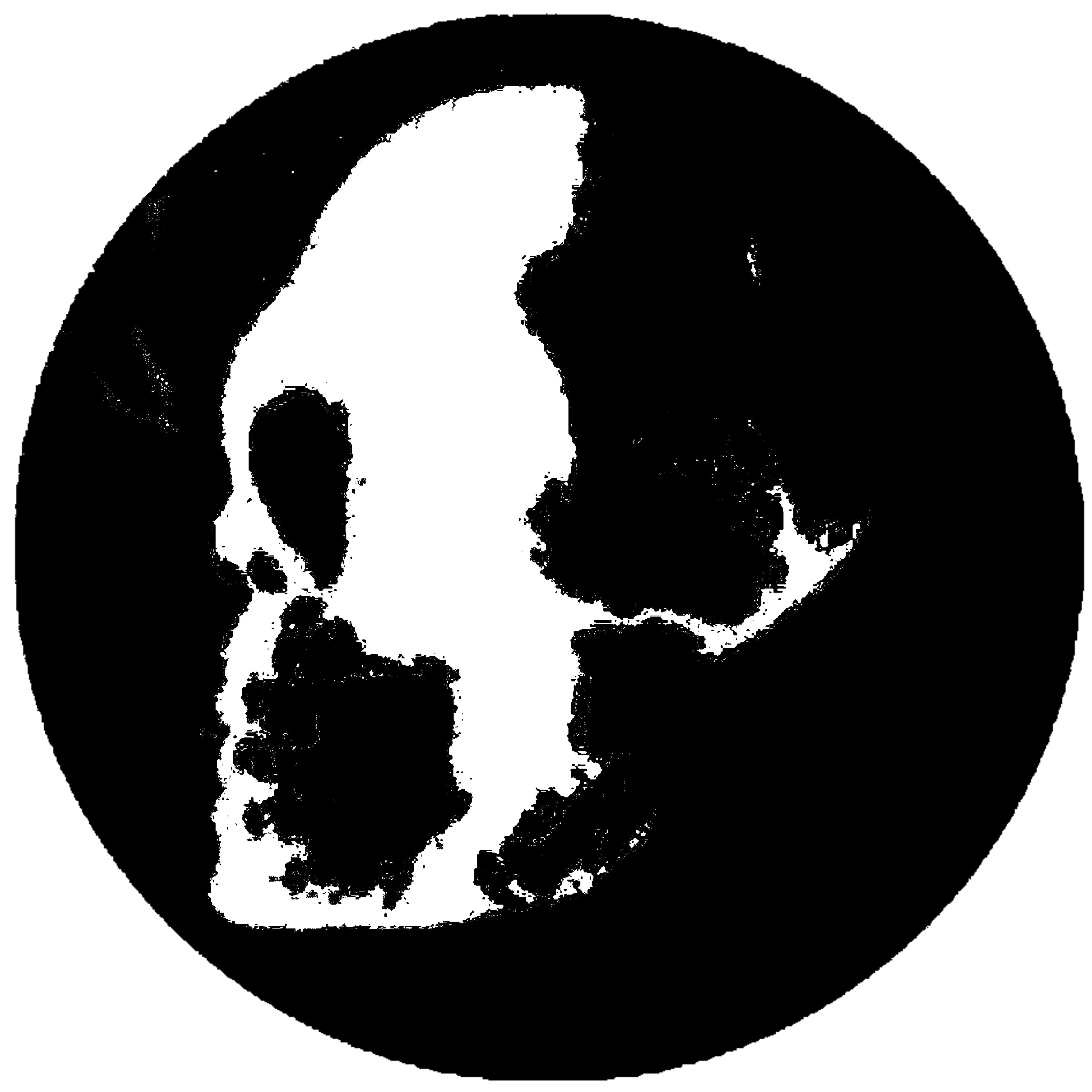 Skull Graphic Sticker  2set